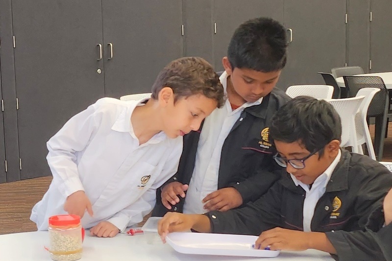 Year 4 Science incursion